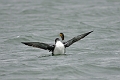 05 01 00_9399_edited-2